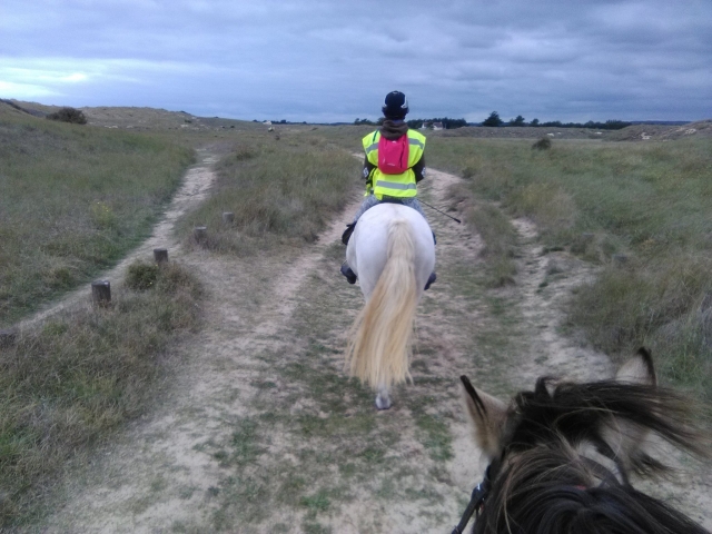 Da tus primeros pasos a caballo 