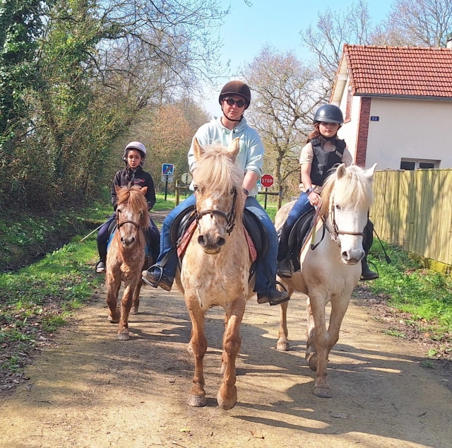  Reservación su paseo a caballo en la Mancha 