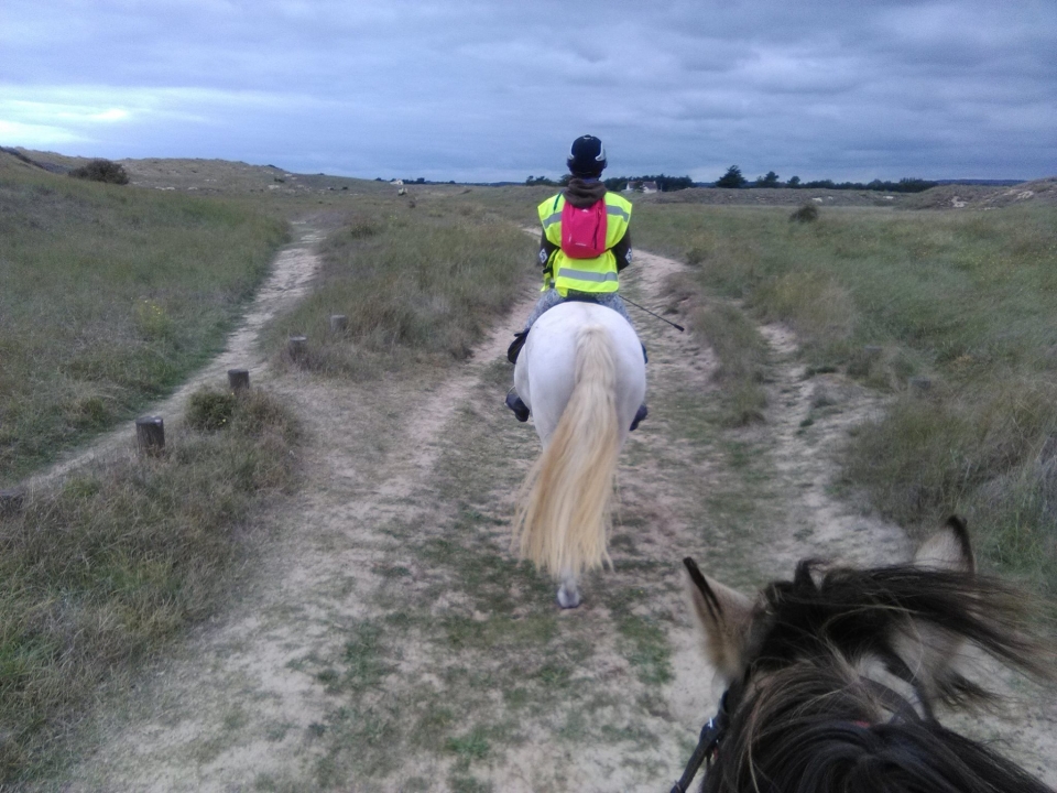 Da tus primeros pasos a caballo 