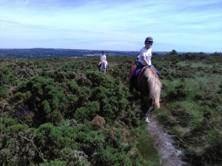 Paseo a caballo en Cotentin - Panorama - 2h