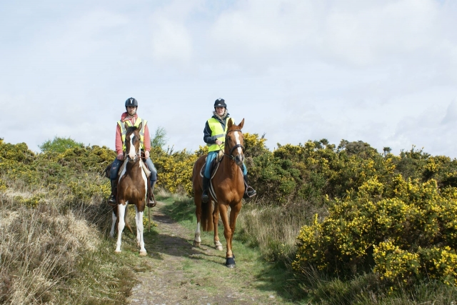  Disfruta de un momento mágico subiendo a caballo en Bolleville