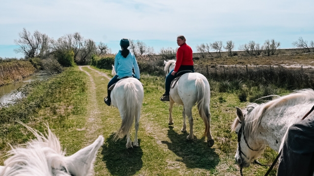  Dé un paseo por la Camarga 