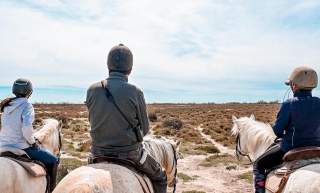 Paseo privado a caballo - Etang de Vaccarès - 2h