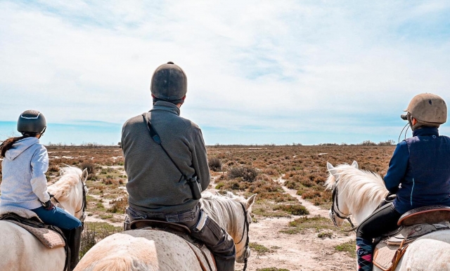Paseo privado a caballo - Etang de Vaccarès - 2h
