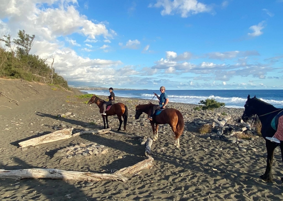  Un paseo que termina en el océano 