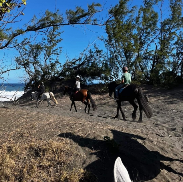 Tome los senderos hacia la playa 