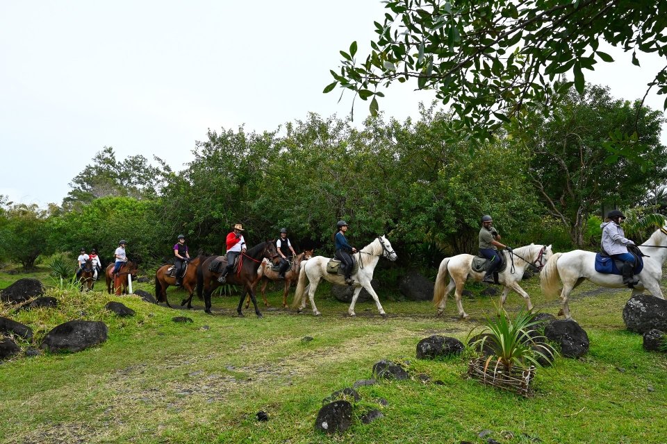 Reservación un paseo a caballo en Reunión 