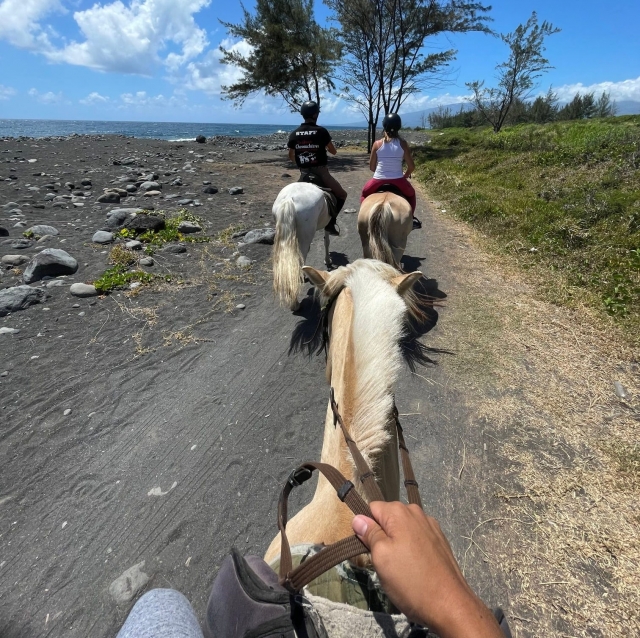 Opte por un paseo hasta la reunión 