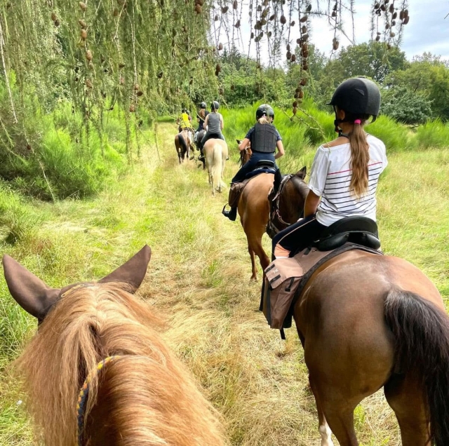 Pbaños a caballo a las puertas de los Vosgos del Norte - 1 hora