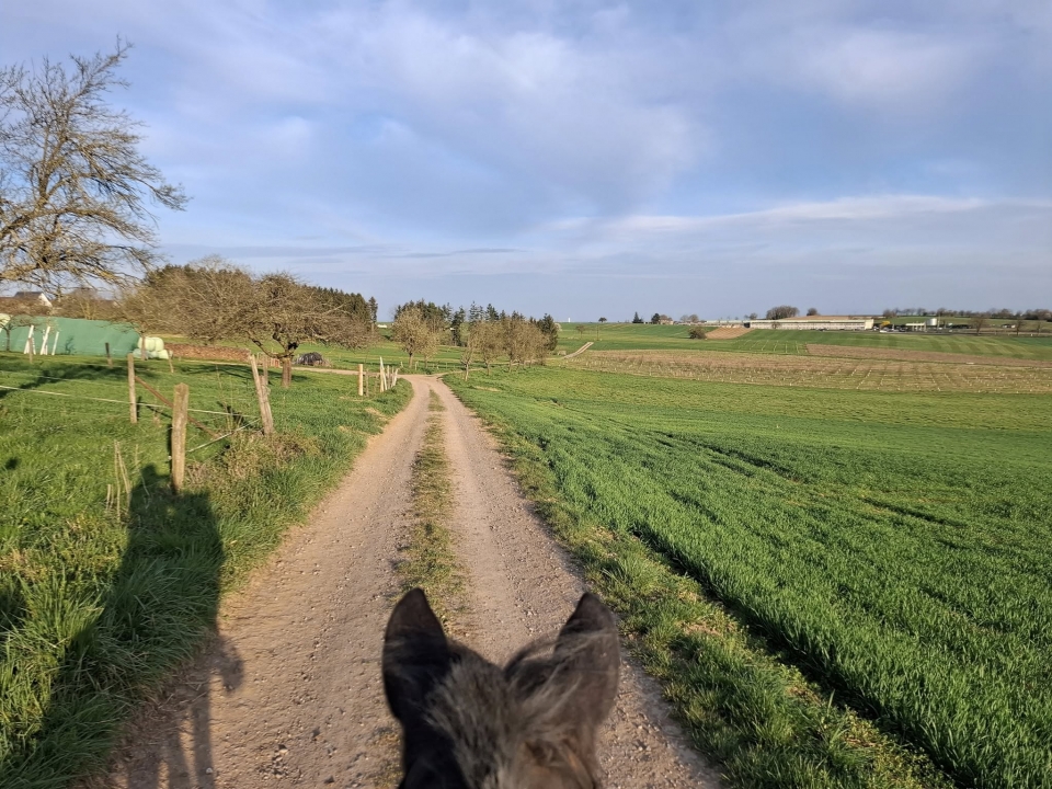  494198465_1143306871141965_2545286772424567388_n 