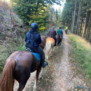 Pbaños a caballo a las puertas de los Vosgos del Norte - 2h