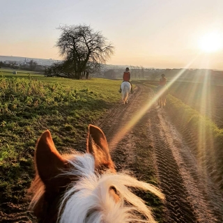 Pbaños a caballo a las puertas de los Vosgos del Norte - 2h