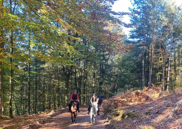  Disfrute de un momento de evasión en plena naturaleza