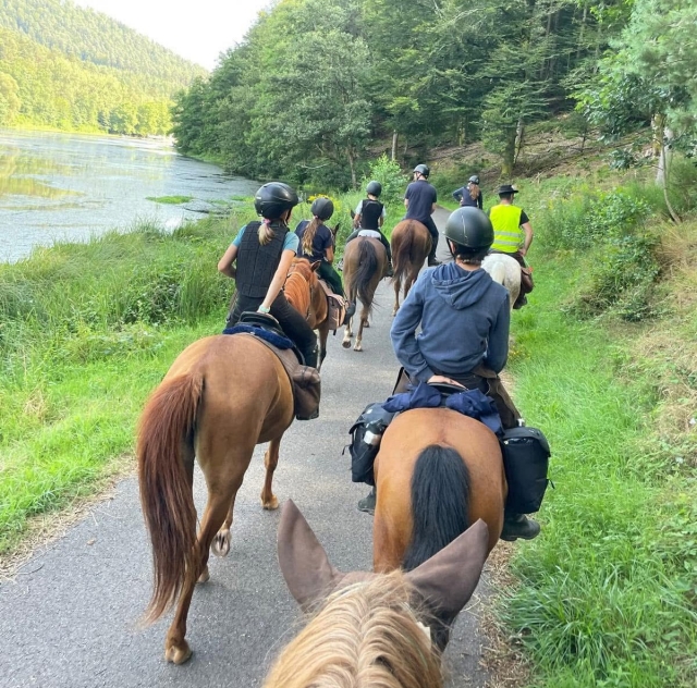  Visitar el norte de Alsacia a caballo 