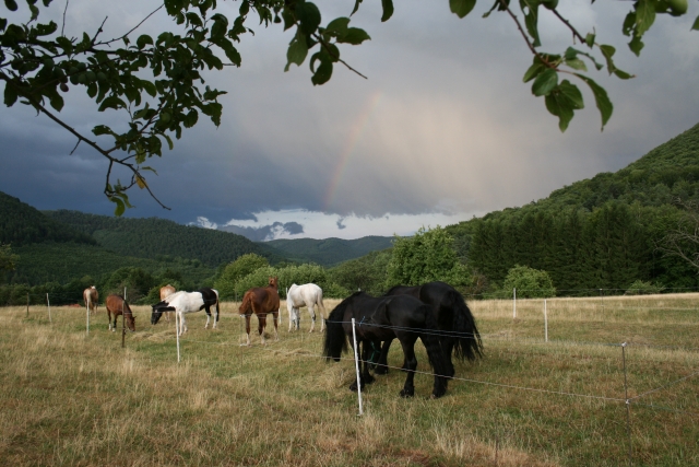  Paisajes impresionantes 