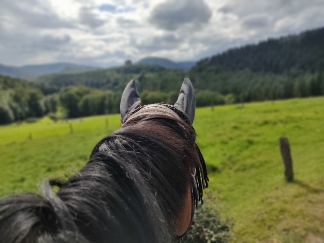  Descubrimiento del castillo Fleckenstein 