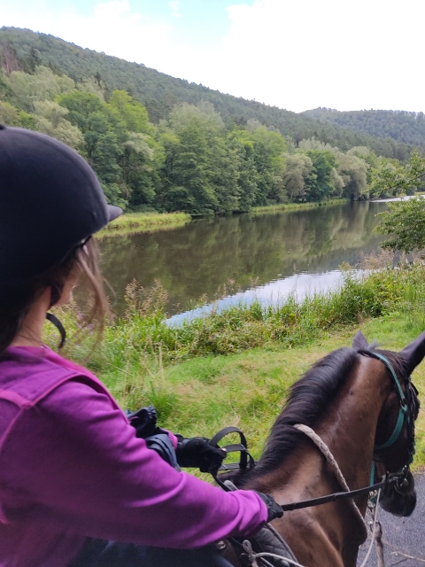  El estanque de Obersteinbach 