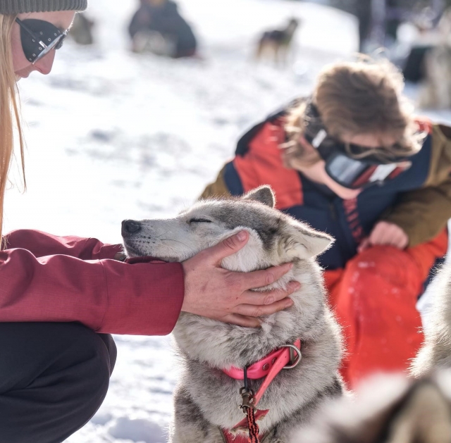  Conoce a nuestros perros en Arette 