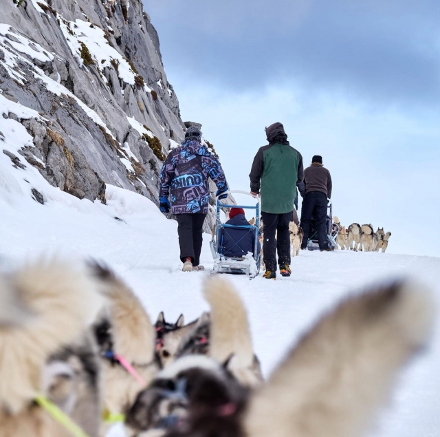  Trineos tirados por perros en La Pierre-Saint-Martin 