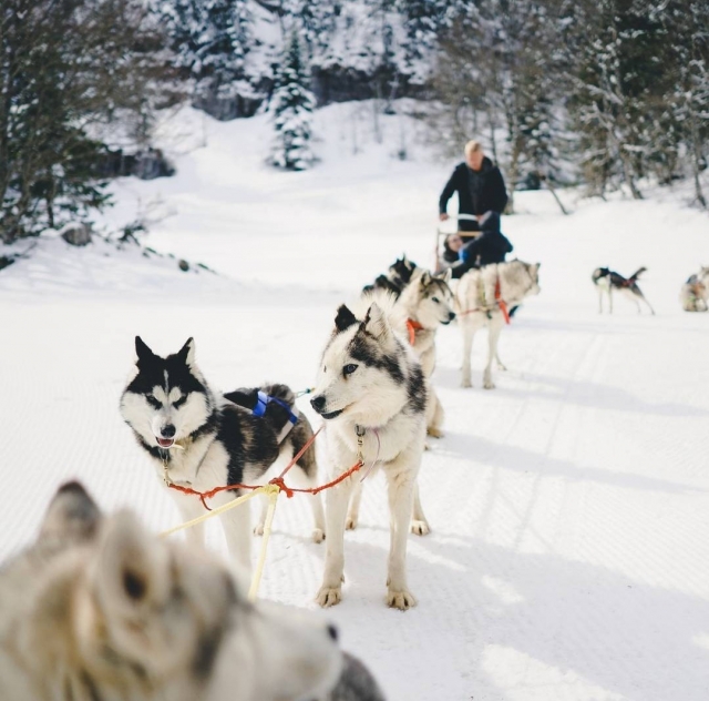 Bautismo de mushing en La Pierre-Saint-Martin - 30 min