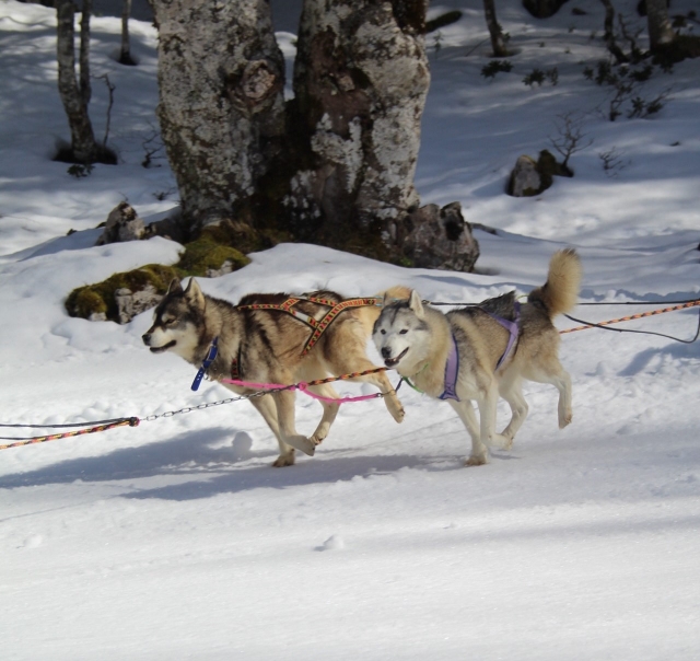  Una hermosa actividad al aire libre