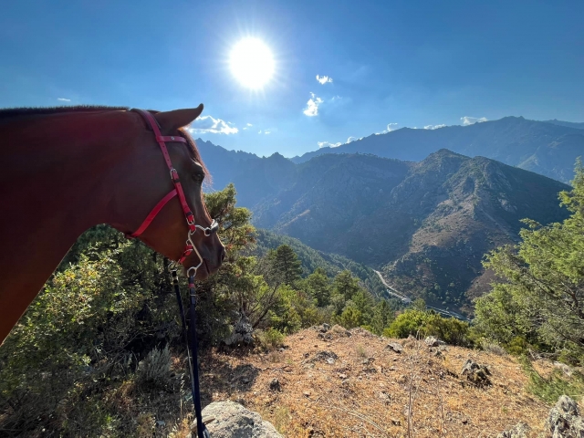 Pbaños a caballo por las montañas en Corte - Córcega - 2h
