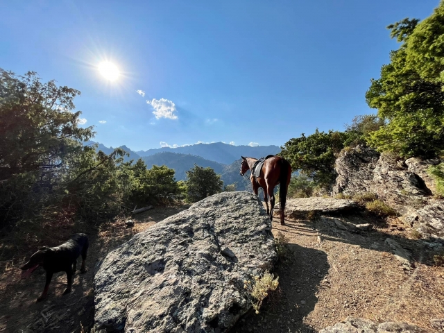  Disfruta de una vista única desde las montañas 