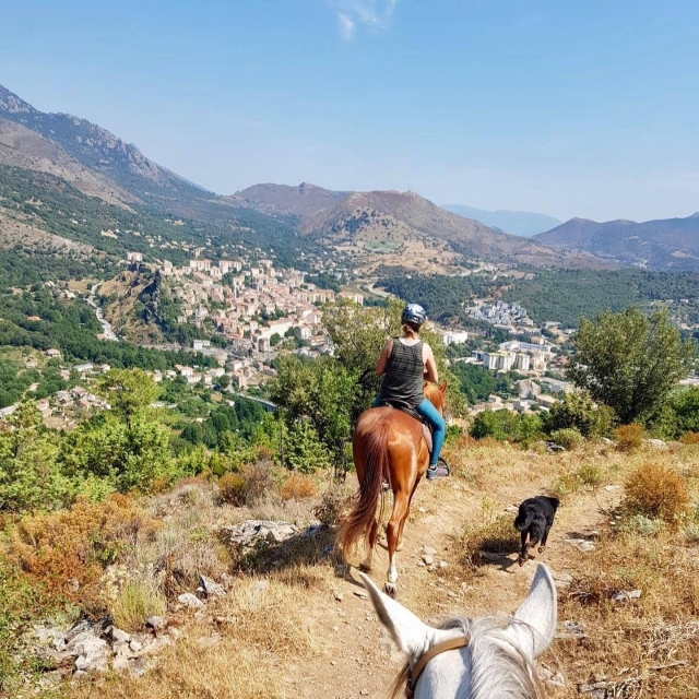 Visita Corte a caballo 