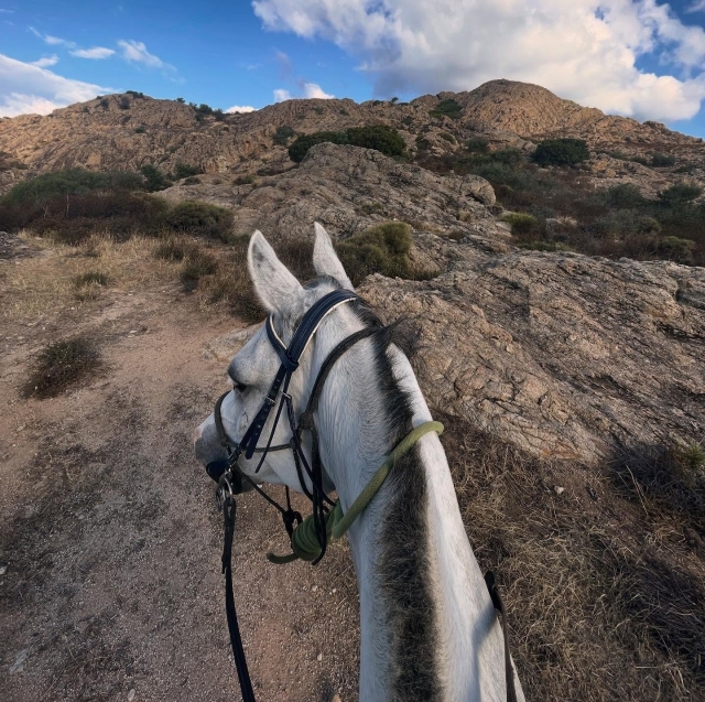  Cabalgamarras por el centro de Córcega