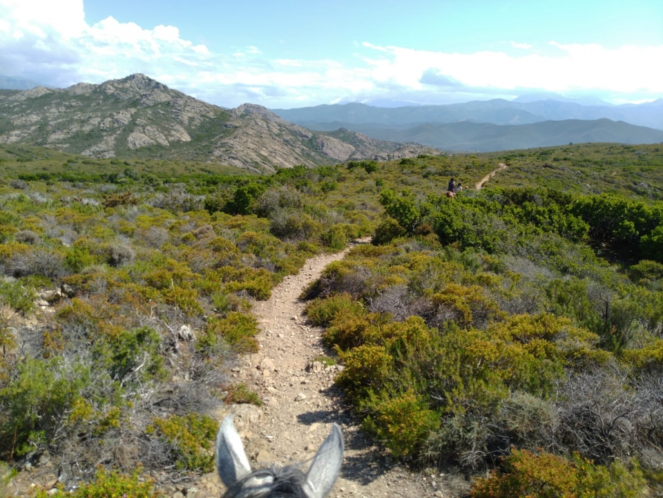 Explora los senderos de la isla corsa a caballo 