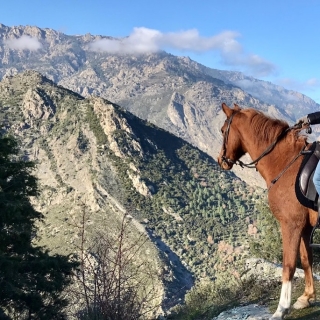 Pbaños a caballo por las montañas en Corte - Córcega - 3h