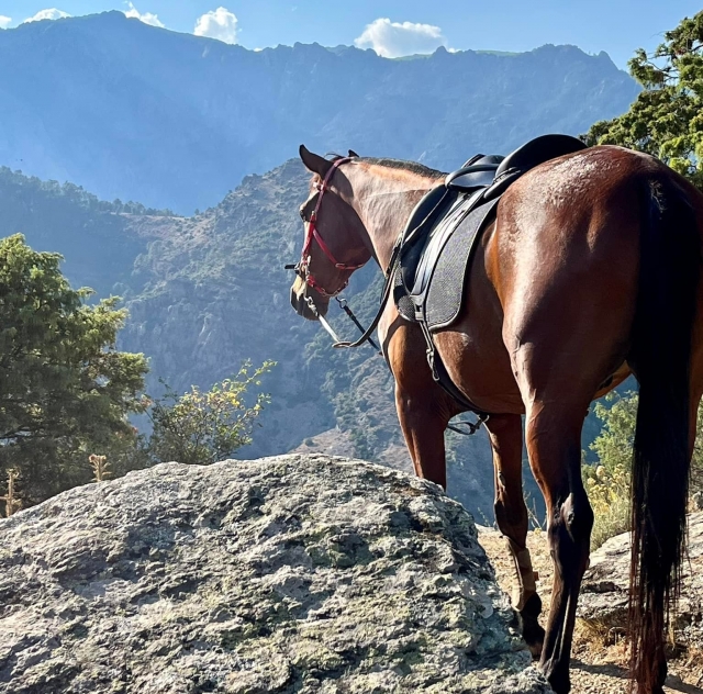 Una magnífica vista de las montañas de Córcega 
