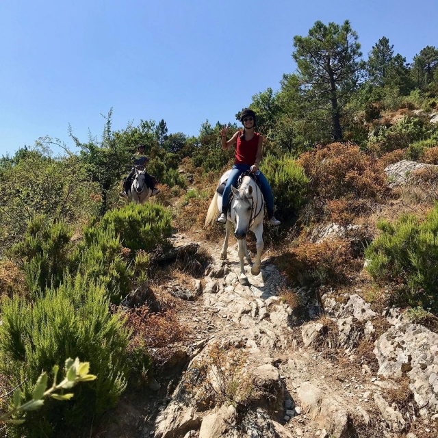  Senderos en los bosques de la isla corsa 