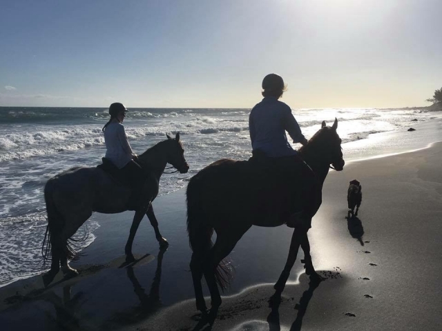 Dando un paseo a caballo por la costa con mi perro 