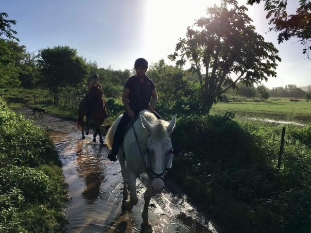  Cruzando el río a caballo 