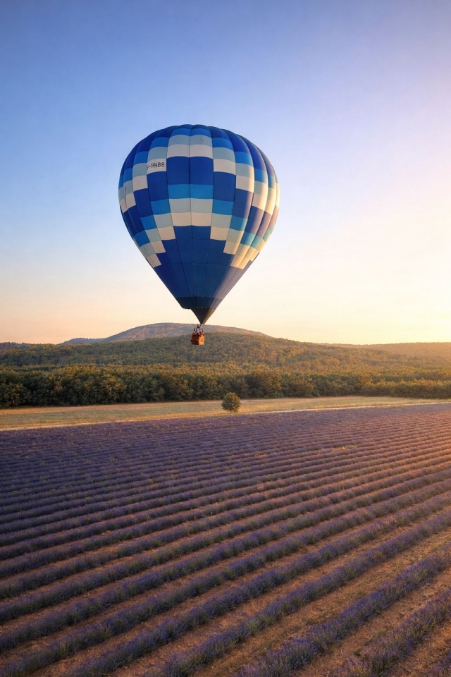  Vista de los campos de lavanda 