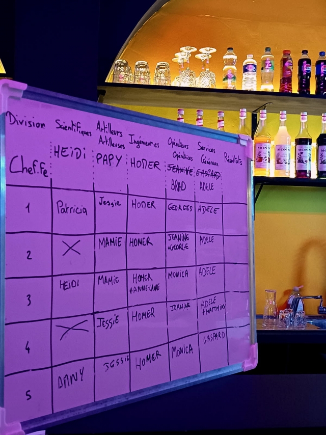  Organización del equipo 
