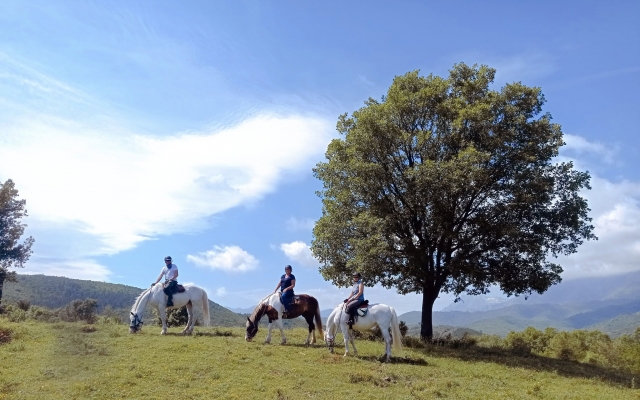 Descubra los paisajes de Córcega a caballo 