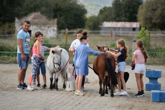  Disfruta de un paseo en pony 