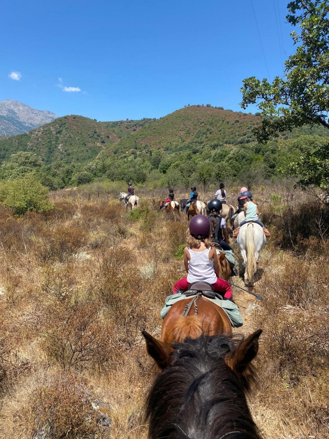  Experiencia ecuestre para niños por el Tavignanu 