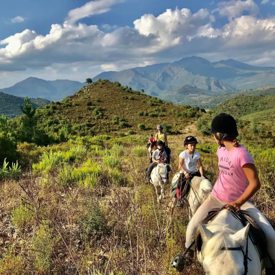 Paseo en pony para niños 