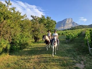 Cabalgamarra por el valle de Grèsivaudan 1h30