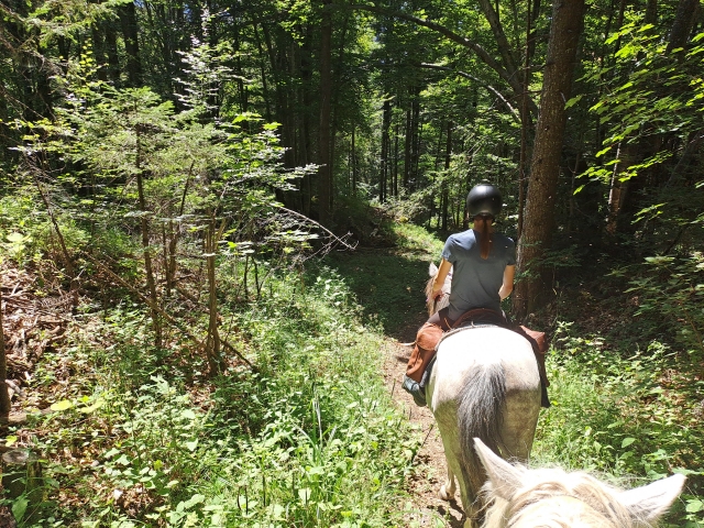  Pbaños a caballo por el campo alrededor de Isère 