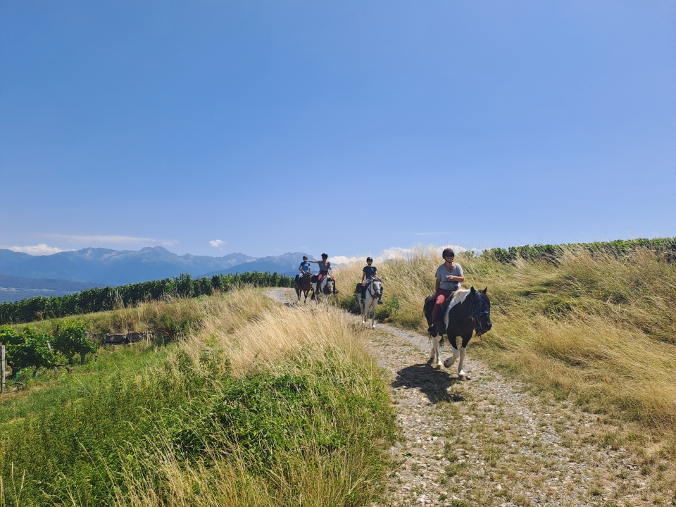  Emociones a caballo en los viñedos de Saboya 