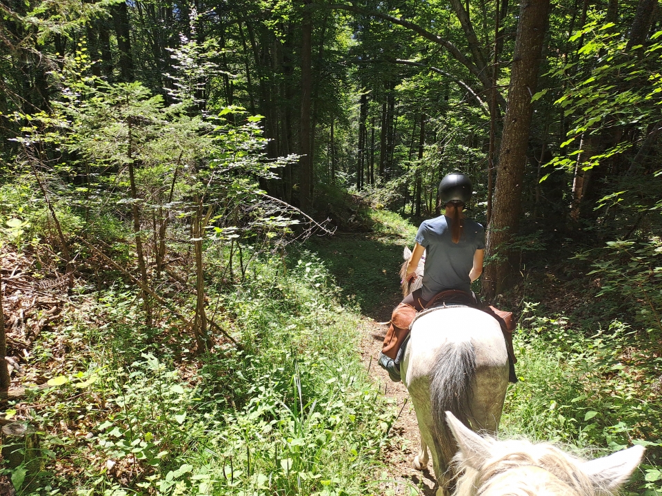  Pbaños a caballo por el campo alrededor de Isère 