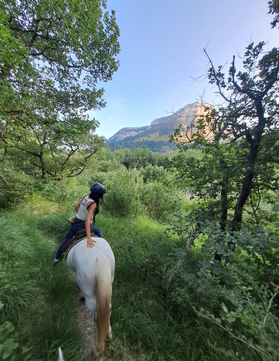Descubra Saboya a caballo 