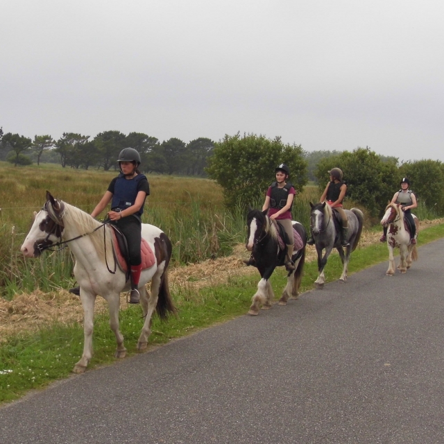  Cabalgamarras para todos los niveles 