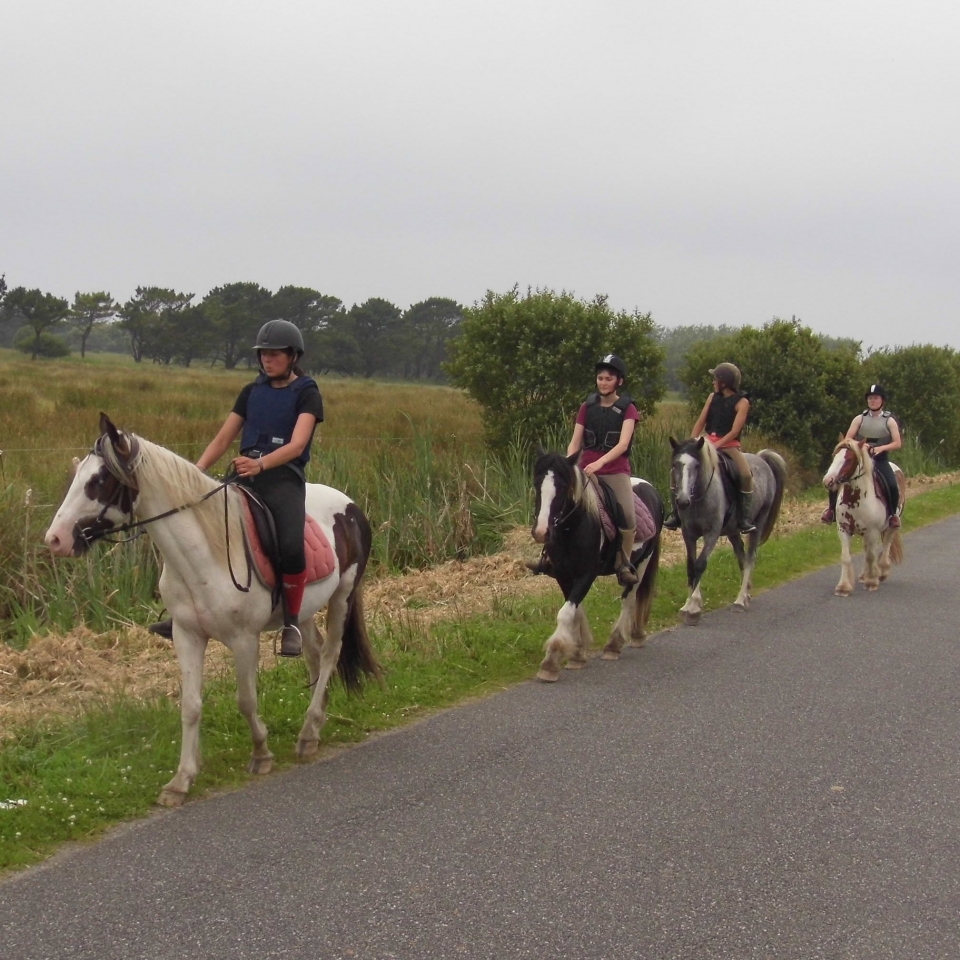  Cabalgamarras para todos los niveles 