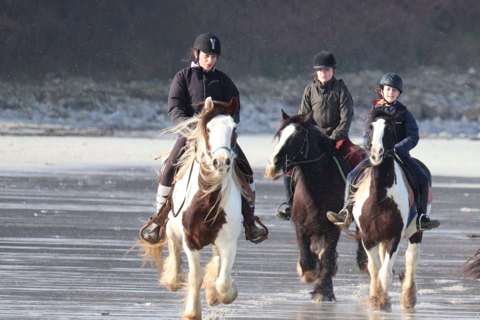  Paseo a caballo en los alrededores de Plouguerneau 