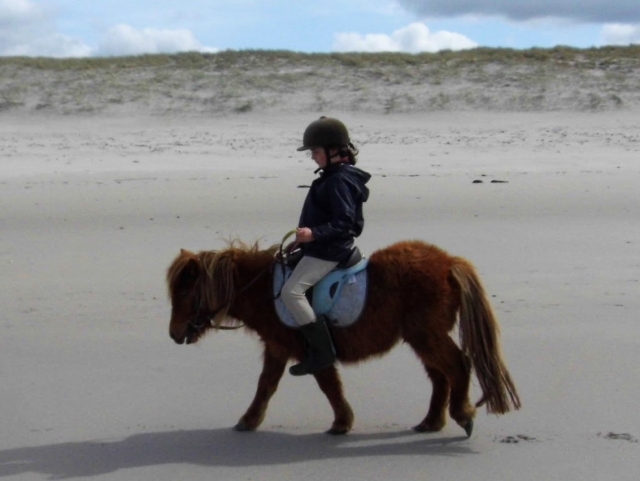 Paseo en poni por las dunas de Plouguerneau 1 hora